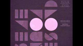 Miguel Migs feat. Meshell Ndegeocello - Close your eyes (Dutchican Soul &amp; Dave Mayer Remix).wmv