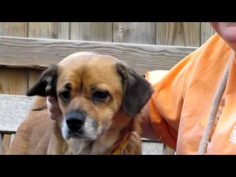 Luanne someone to talk with