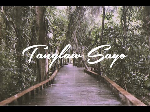 BusilakK - Tanglaw Sayo (lyric Visualizer)