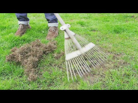 Produkt powoduje impotencję u mężczyzn Jak konopi impotencję