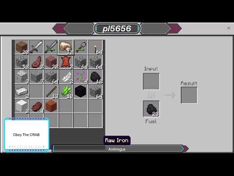 Minecraft With cousins