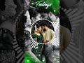 Vilamale Irukka Mudiyuma Song Status