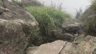 [大台北之眼] 燦光寮山 O 型環狀線 預告片縮圖