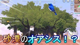 【サイバーハンター】大木を植えて戦ってみた