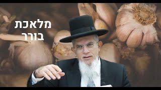 מלאכת בורר I הרה"ג יוסף הללויה שליט"א