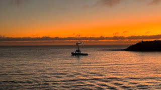 P&O Pacific Adventure sailing into Sydney Harbour, Followed by the Carnival Splendor 27/12/2022