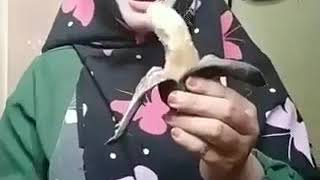 Download lagu Wa 083108065717 Gak mau kayak gini kan,yuk pakai mak urut aja mp3 Download lagu Wa 083108065717 Gak mau kayak gini kan,yuk pakai mak urut aja mp3