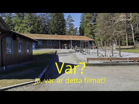 2021-04-01 VAR ÄR DETTA FILMAT? - Tre herrar och två harar ( Foto Lars Holm )