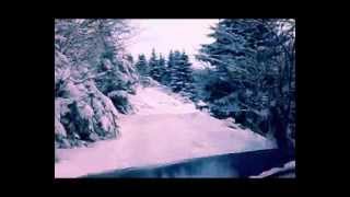 preview picture of video 'LADA NIVA NA SNEGU JAHORINA - driving in the snow part 2'