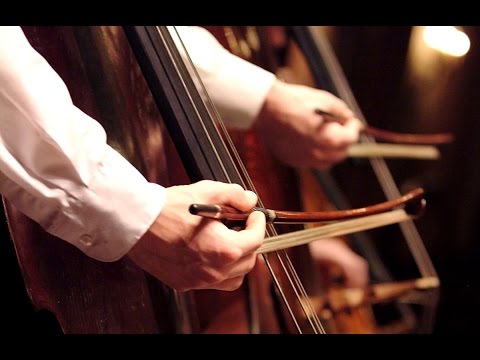 Artist Diploma In Orchestral Studies