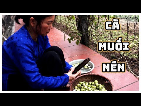 download lagu mp3 mp4 Vietnamese Pickled Eggplant Recipe, download lagu Vietnamese Pickled Eggplant Recipe gratis, unduh video klip Vietnamese Pickled Eggplant Recipe