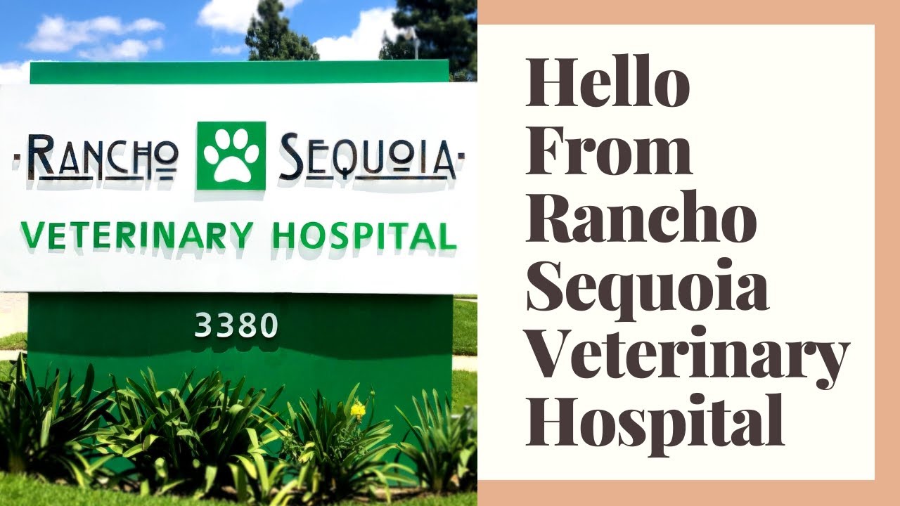 Rancho Regional Veterinary Hospital