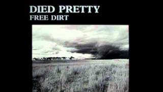 Music video thumbnail preview for Died Pretty - Life to go (Landsakes) by Died Pretty