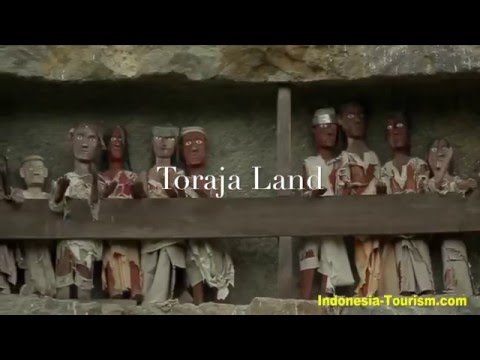 Indonésia maravilhosa: Tana Toraja - Sulawesi do Sul