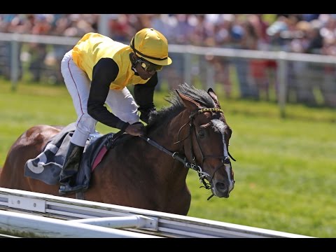 Köln: fiylo-Benefizpreis (D) - Sieger: Lagoas