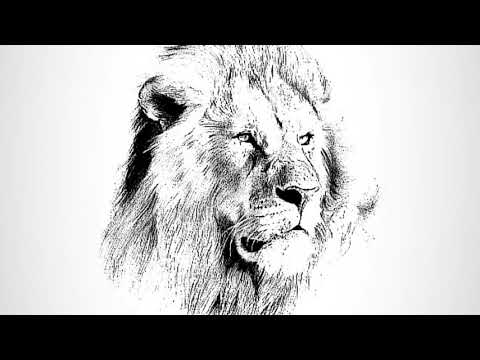 O Caminho do Mago - Lucas Avelar