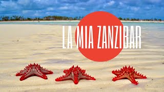 preview picture of video 'Snorkeling in Zanzibar '