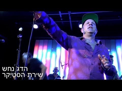 Hadag Nahash - The Sticker Song Live in New York 05/02/18 הדג נחש - שירת הסטיקר