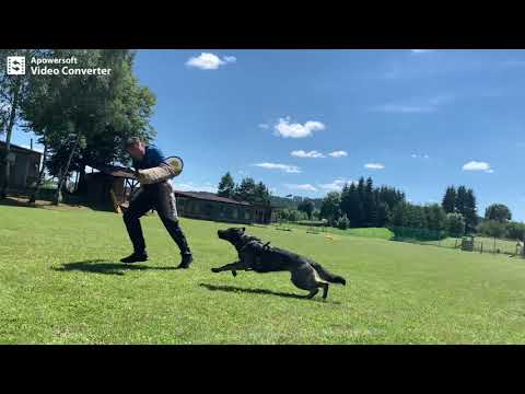 Anita Wiki Isabela - Protection 17 months