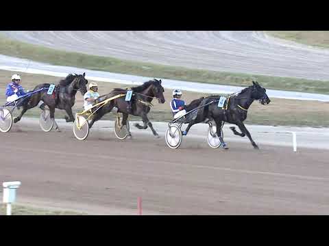 2019.10.19. 08. futam - KÖZTÁRSASÁGI DÍJ (NÜL-IX.)