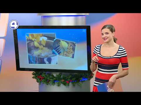 Собака решила угнать автомобиль