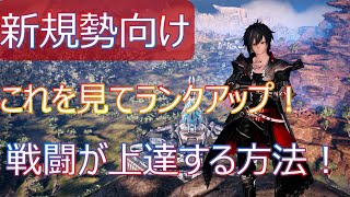 【PSO2NGS】装備だけでは無くPSも磨け！対ボス戦で被弾を減らす方法！！【新規勢向け】