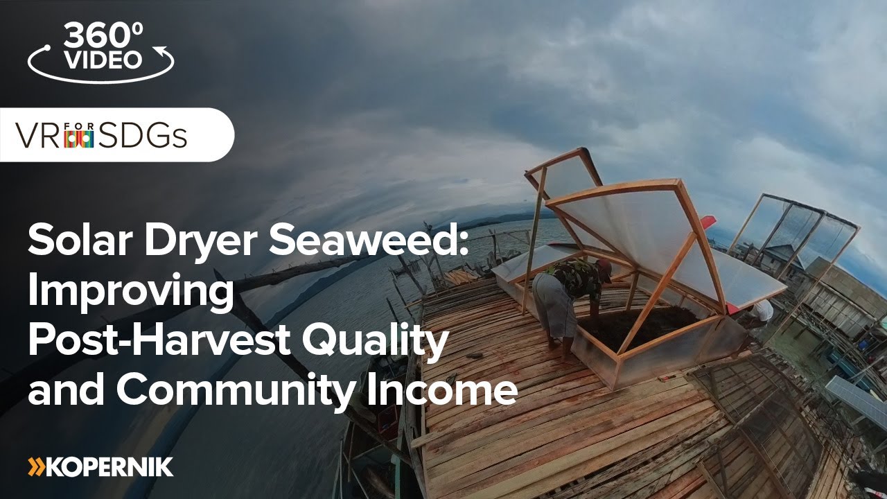 Solar Dryer Seaweed: Improving Post-Harvest Quality and Community Income