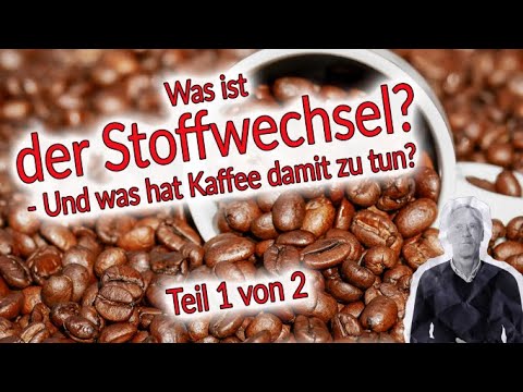 Metabolism in Focus - Part 1 | Effects of Coffee on Metabolism