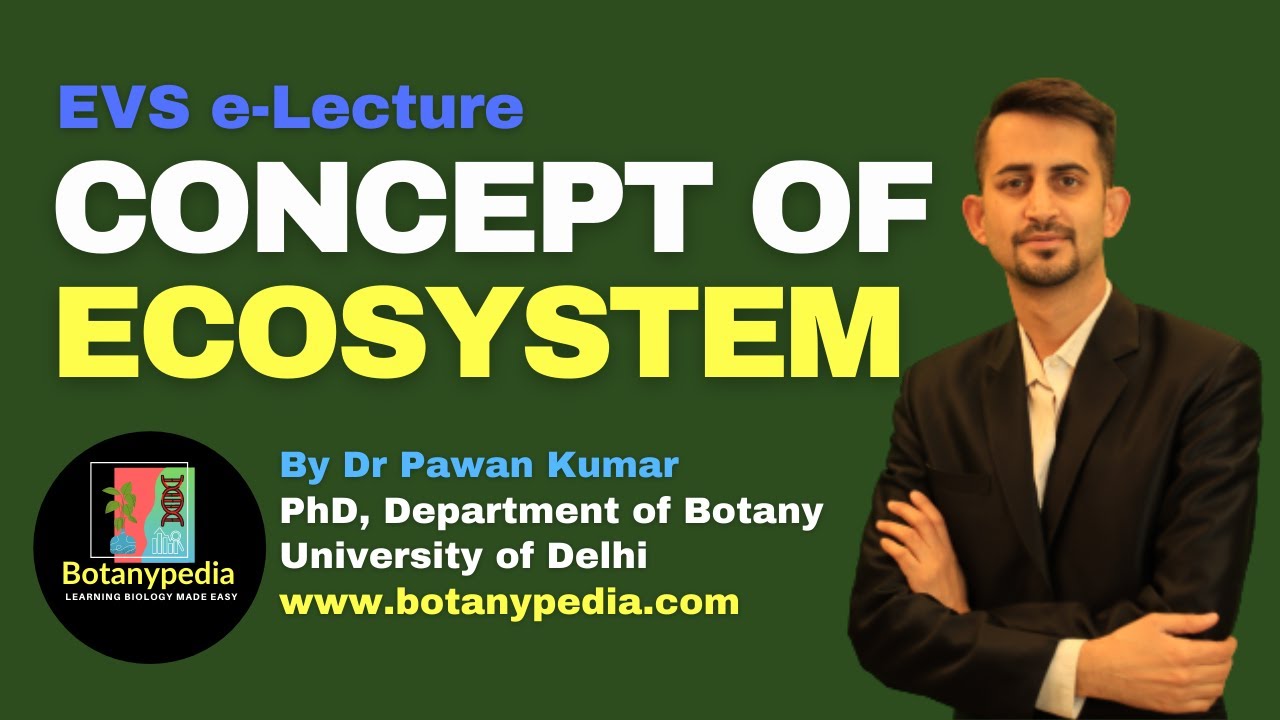 Concept of Ecosystem | Scope of Environmental Studies