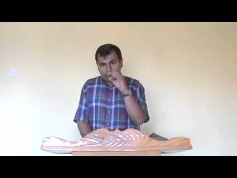 23.A e ndalon Bibla Muzikën?