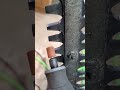 Sharpen your Hedge Trimmer Quick and Easy! #shorts #dremel
