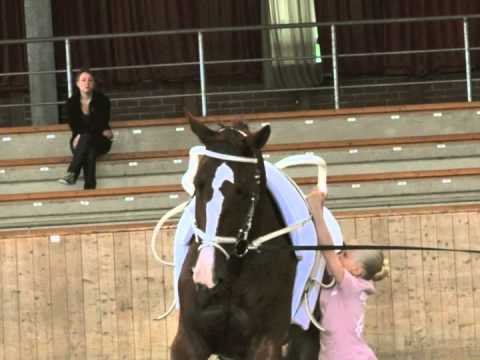 Team Duisburg 1 präsentiert: De Nira!