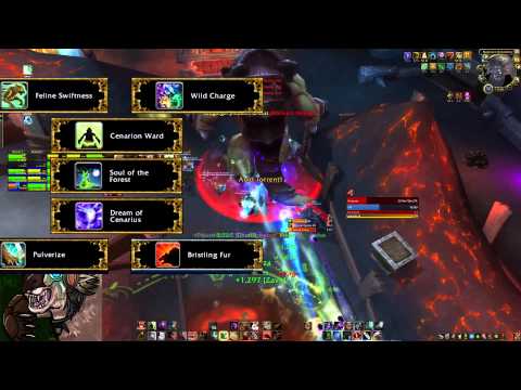 The Inconspicuous Bear - Heroic Oregorger Guardian Guide