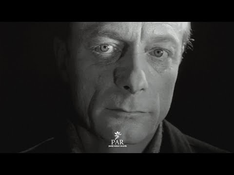 Pino†Angel — Celestial (Music Video)