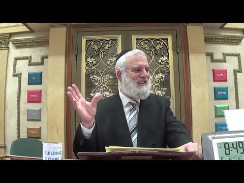 Insights on Parashat Bamidbar