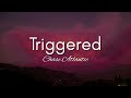Triggered Chase Atlantic Lyrics
