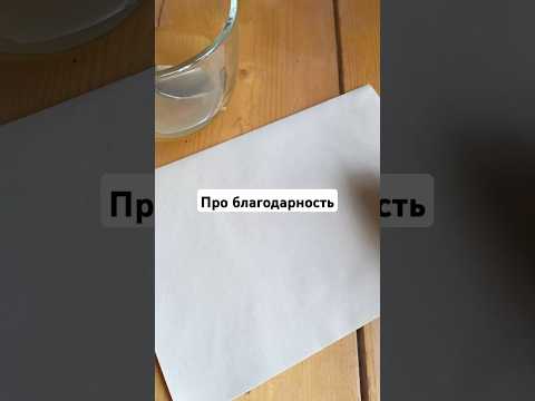 Ромашка и Дневник благодарности #елена_гусарова #любовь #психология #благодарность #жиза #отношения