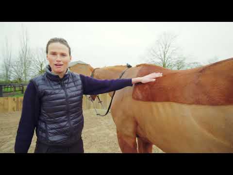 Francesca Explains Episode 1