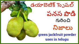 ఈ పొడిని వాడితే షుగర్ పారిపోతుంది || green jack fruit powder uses in telugu || ఒక సారి తెలుసుకోండి