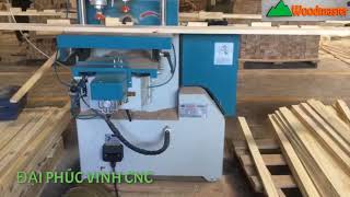 MÁY LẮC MỘNG ÂM 1 Đầu 2 Bàn WOODMASTER Tốt nhất thị trường 2020
