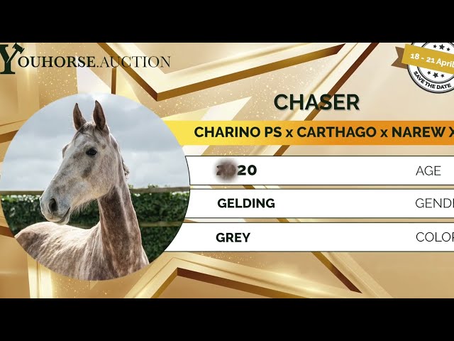 Chaser