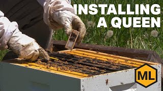 How to Install a New Queen
