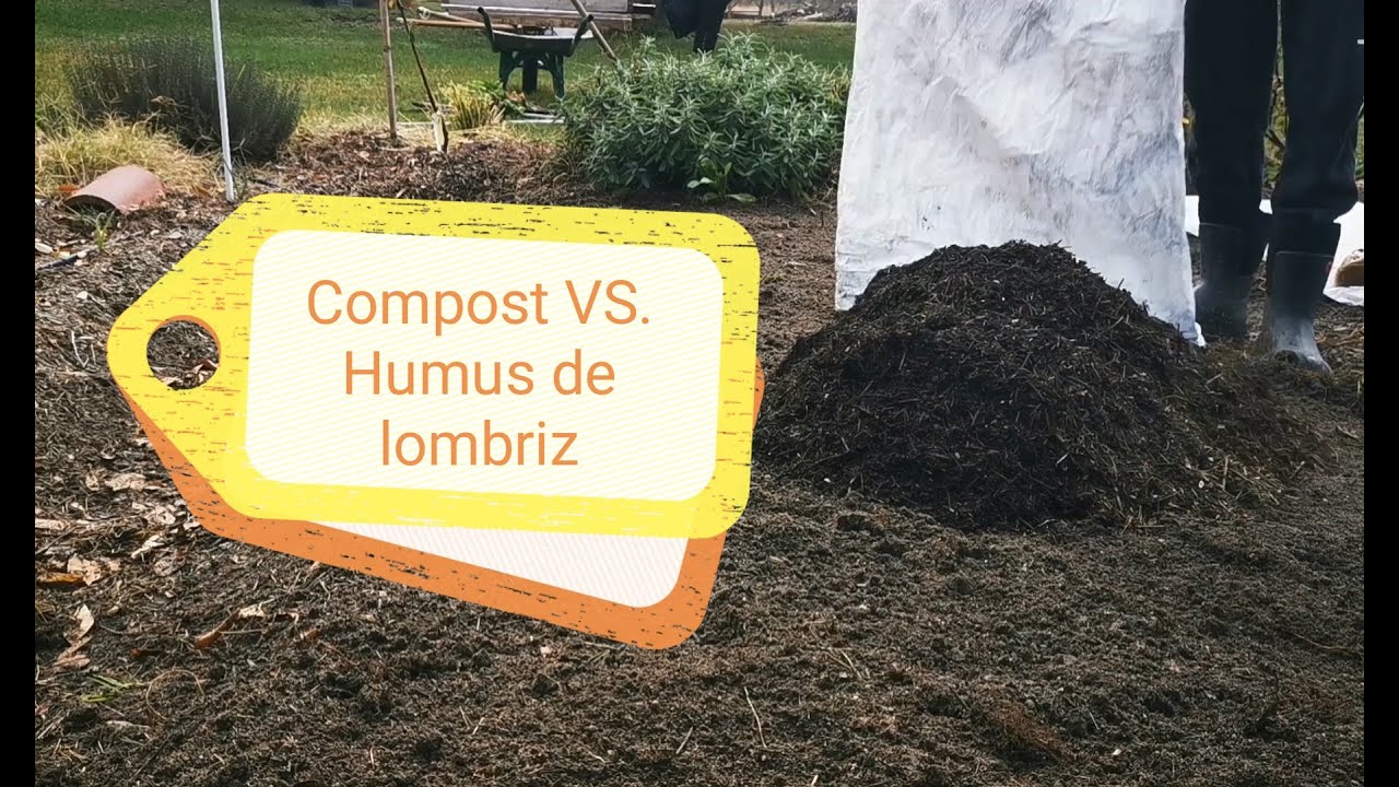El Lombricero - Compost vs. Humus de lombriz. Descubre las ventajas en inconvenientes de cada uno ✍