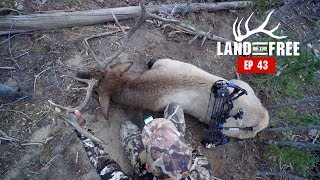 DID WE JUST KILL A BULL? EP-43 LAND OF THE FREE 2.0