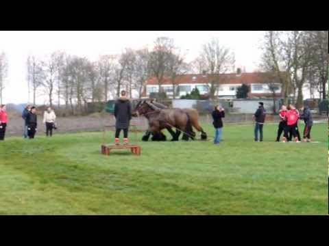 MVV27 A1 grassurfen Nagele 3