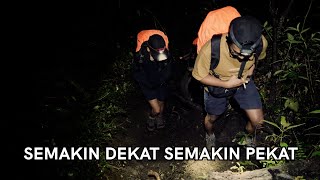 Download lagu Menemukan Pohon Terlangka di Dunia (Raung #2) mp3