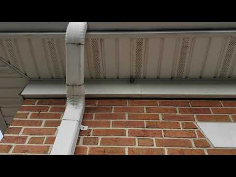 Double the Trouble with Hornets in Sea Girt, NJ