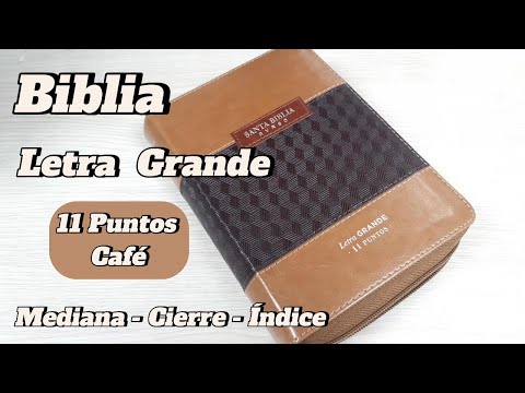 Biblia Reina Valera 1960 Letra Grande 11 puntos Clásico ABBA Café/Café con cierre y con índice