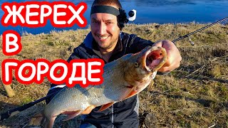 Апрельские приманки на жереха