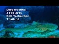 Diving - Koh Tachai Bon Thailand 2016 - Leopardenhai Edition - Asien